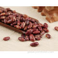 Kidney Beans Breakfast Kidney Beans Health Benefits Supplier